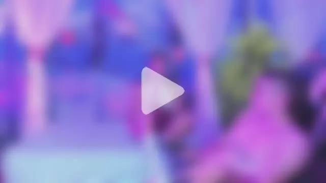 StellaAndTyler photo 16