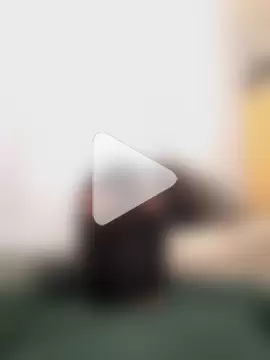 StickyIckyGeckon photo 6