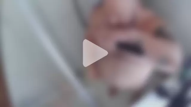 Strong_Bear89 photo 6