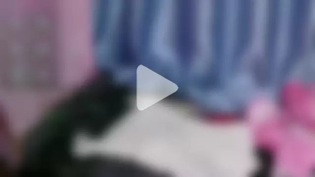 Stumpy_Governor photo 30