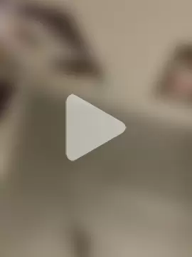 StylishEchium photo 24