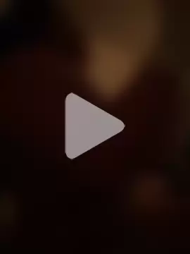 StylishEchium photo 4