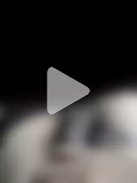 Suchiitoalegre photo 2