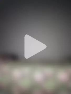 Sudubeby2410 photo 25