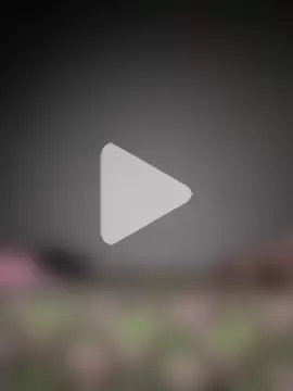 Sudubeby2410 photo 17