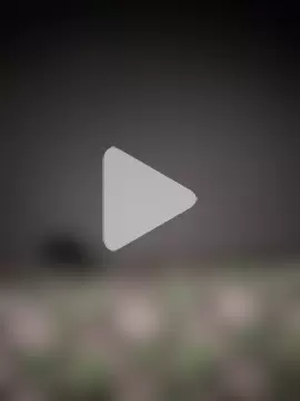 Sudubeby2410 photo 10