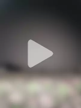 Sudubeby2410 photo 8