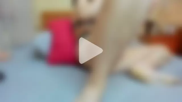 Sugar_Venom photo 23