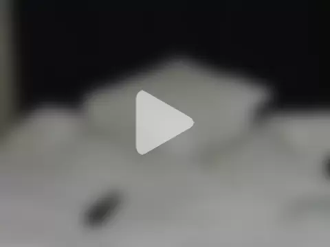 Sultry_Booty photo 2