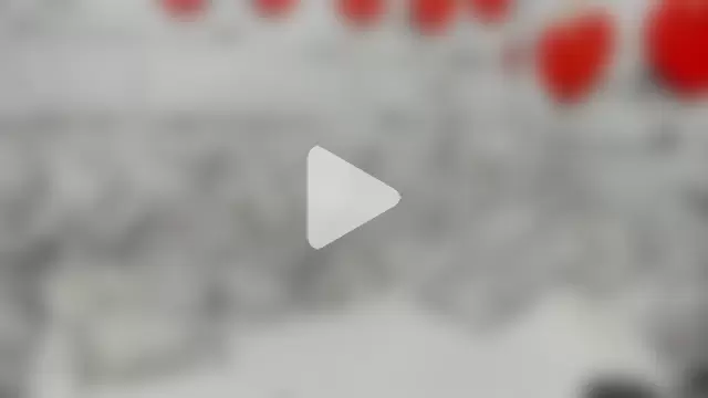 Sunny_Sammy photo 21