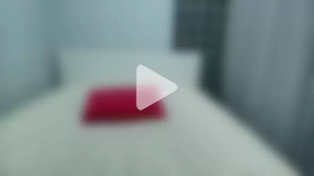 Sunny_Sammy photo 27