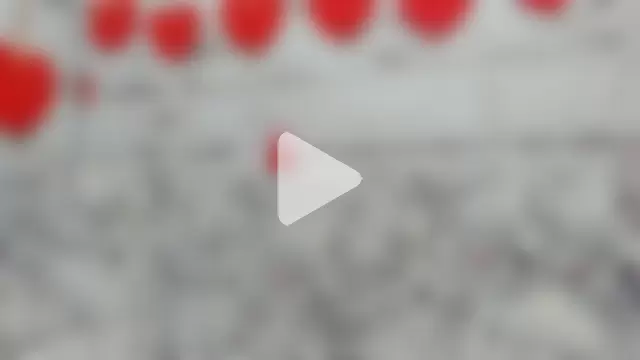 Sunny_Sammy photo 22