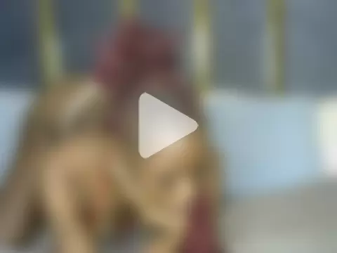 Sunrise_starr photo 21