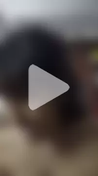 Sw_Mahnenwolf photo 4