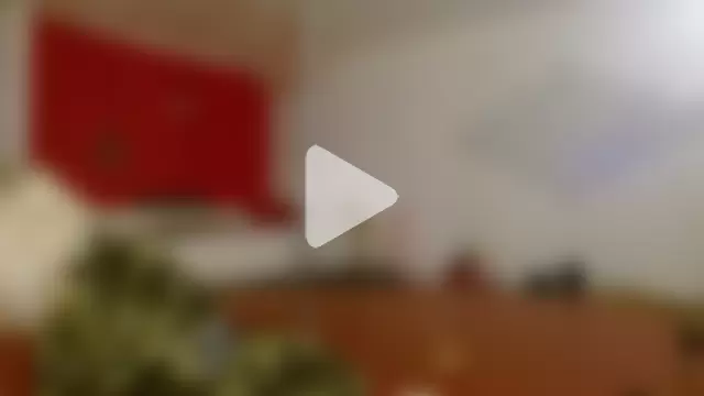 Sweet-Ginger photo 2