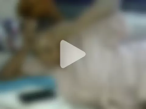 Sweet1QueenofSouth photo 21