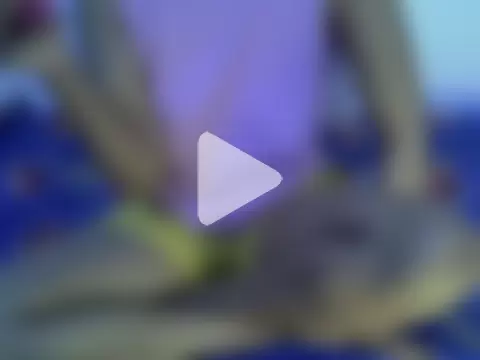 Sweet_Bellah19 photo 30