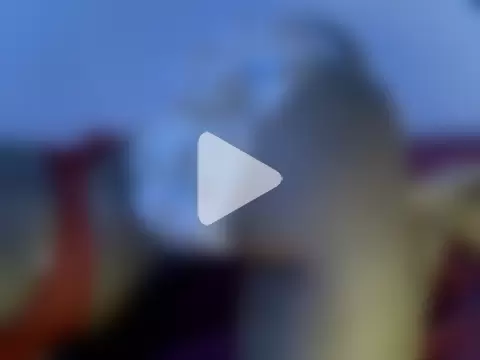 Sweet_Bellah19 photo 1