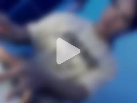 Sweet_angelinax photo 23