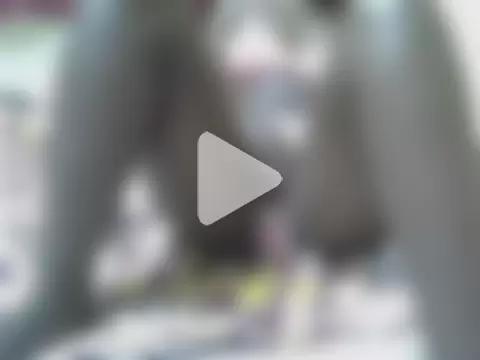 Sweet_chico2 photo 13