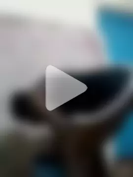 Sweetcecie01 photo 16