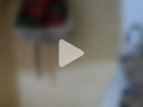 Switbeb20 photo 15
