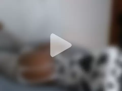 Switdelfy photo 10