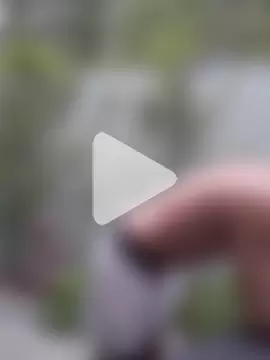 TAIZ69WORLD photo 19