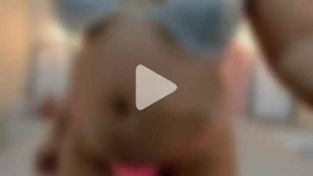 TAYLORMEYER1 photo 14