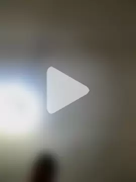 THICKBUNNYCHICKxxx photo 21