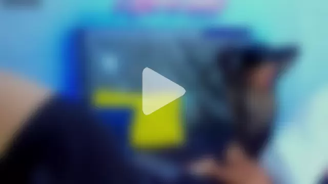 THREE_ENCHANTED photo 2