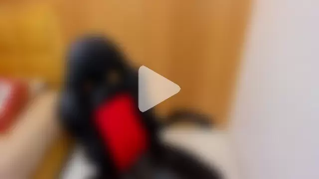 TIFFANY_BELLO photo 4