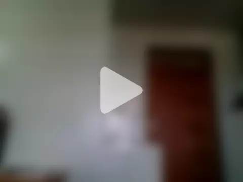 Talisha1678 photo 16