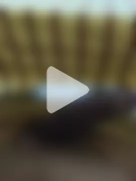 Tamilhotcock photo 3