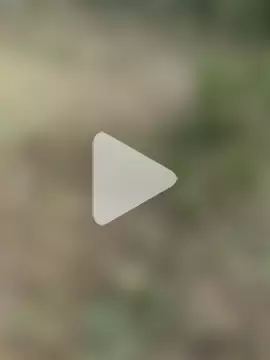 Tamilpaiyan07 photo 2