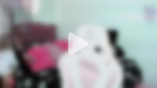 Tanedra_collings photo 28