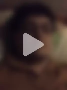 TangledWhelp photo 1