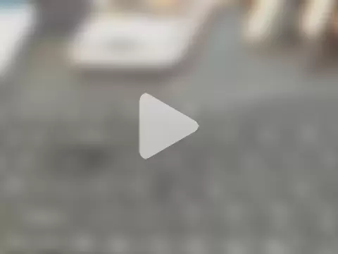 Tanvi_Strip photo 20