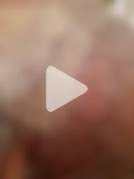 Tata_and_Joker photo 9