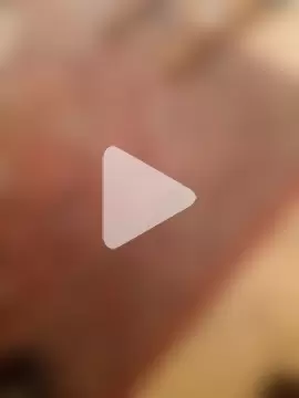 Tata_and_Joker photo 6