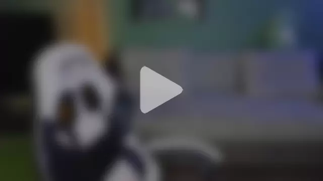 TeddyLiLboy photo 27