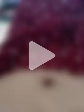 Telugu-honey3 photo 10