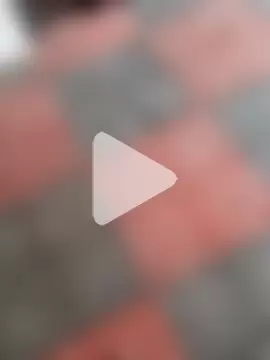 Telugu_coupul photo 20