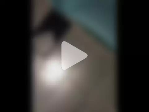 Teressa_Love photo 8