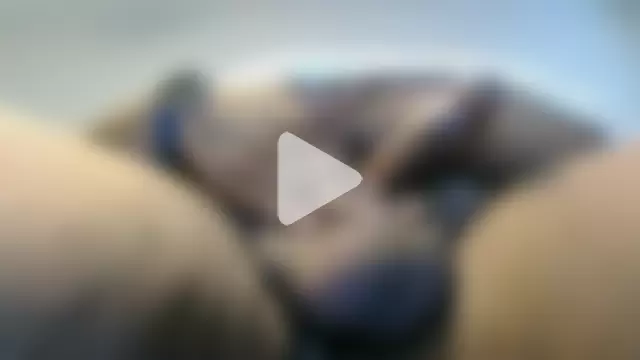 TerrificNerve49 photo 2