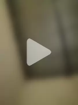 Thaps_deDick photo 8