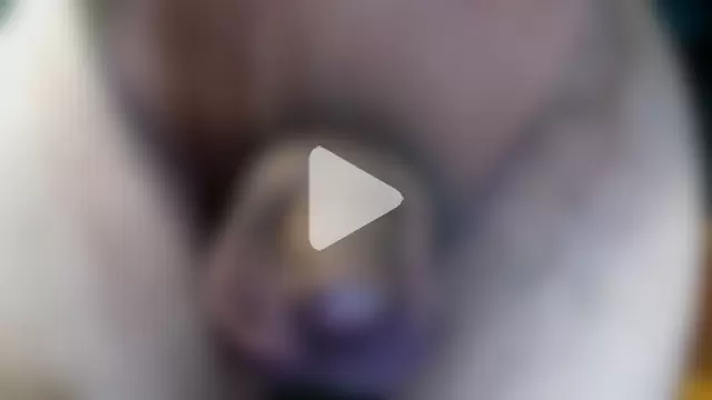 Thatdomguy2595 photo 5