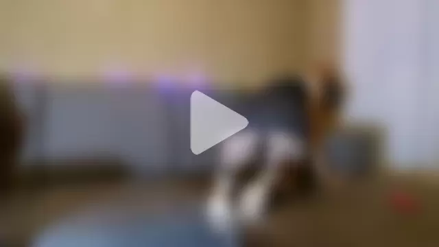 TheBunnyAndTheMaster photo 13