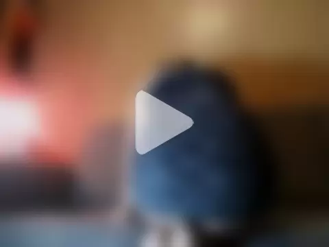 TheBunnyAndTheMaster photo 1