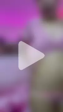 TheKing6ix9ine69 photo 10